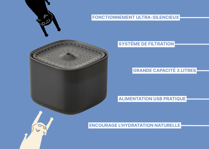 La Source Enchantée de Votre Chat