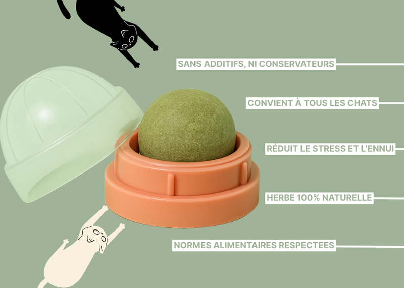La Boule d'Herbe aux 1001 bienfaits