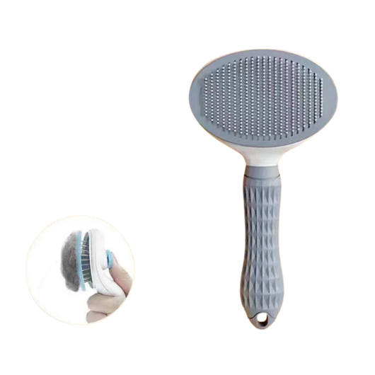 Self-Cleaning Brush
