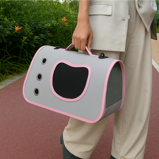 Carrying Bag