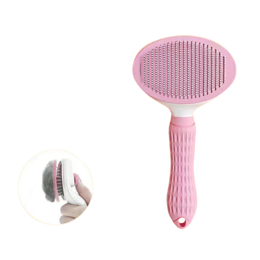 Self-Cleaning Brush