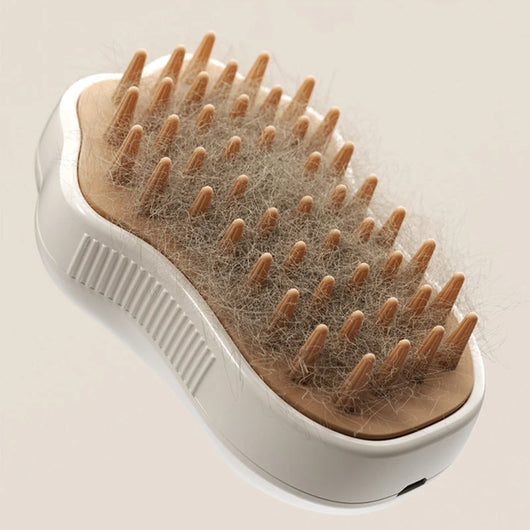 Premium 3-in-1 Steam Brush