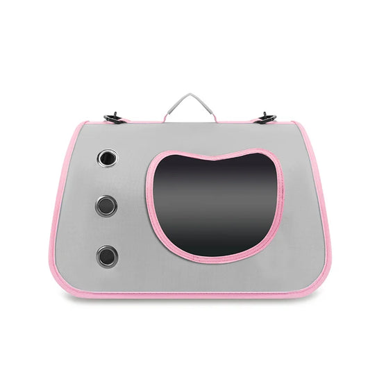 Carrying Bag