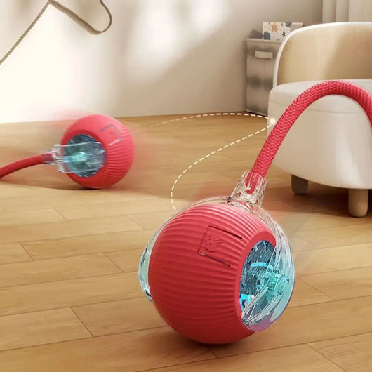 Rechargeable Smart Interactive Ball