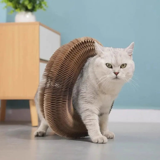 Multifunctional Spiral Scratching Post