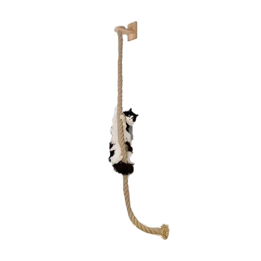 Modular Wall Climbing System