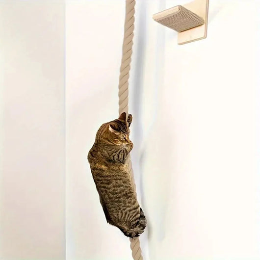 Modular Wall Climbing System