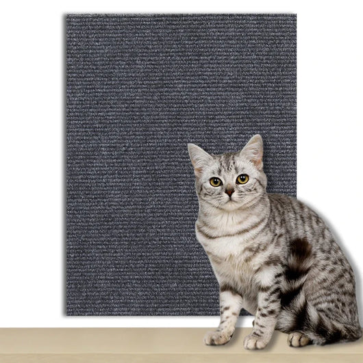Protective Self-Adhesive Scraping Plates