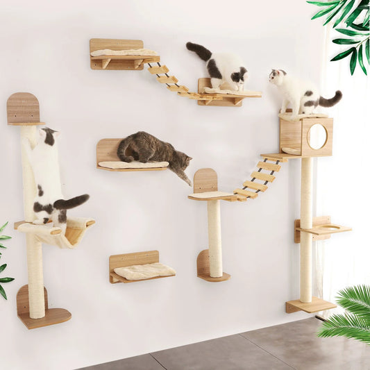Modular Wall Climbing System