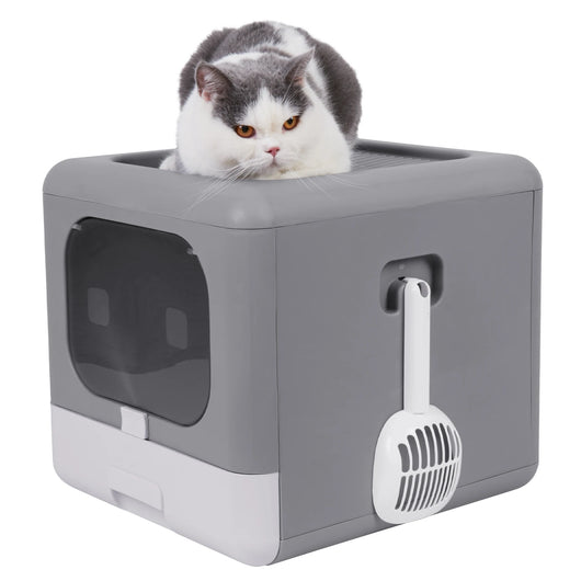 Litter Box