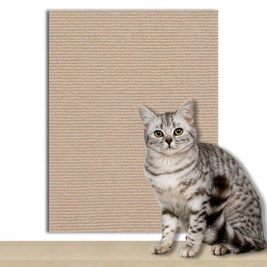 Protective Self-Adhesive Scraping Plates