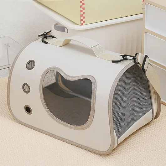 Carrying Bag