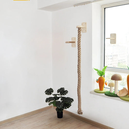 Modular Wall Climbing System