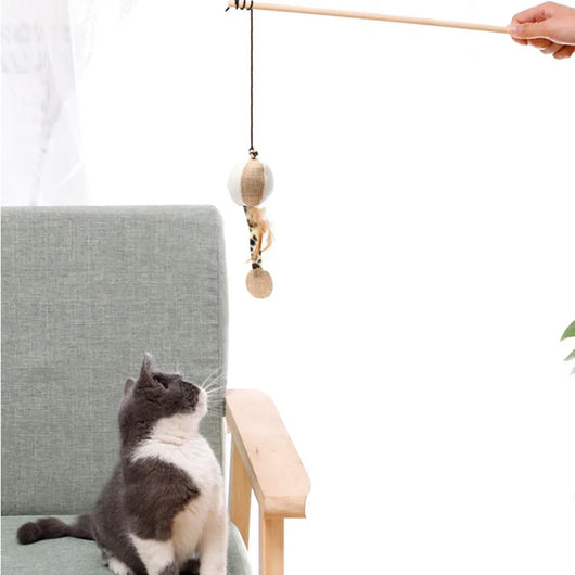 Multi-Shaped Fishing Rod