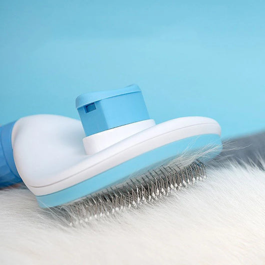 Self-Cleaning Brush