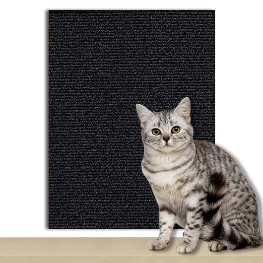 Protective Self-Adhesive Scraping Plates