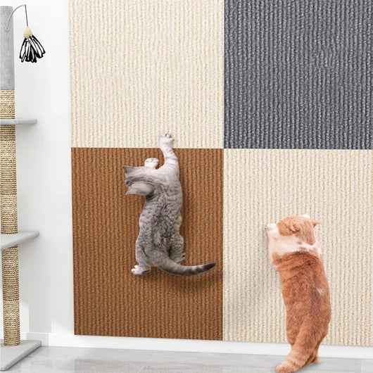 Protective Self-Adhesive Scraping Plates