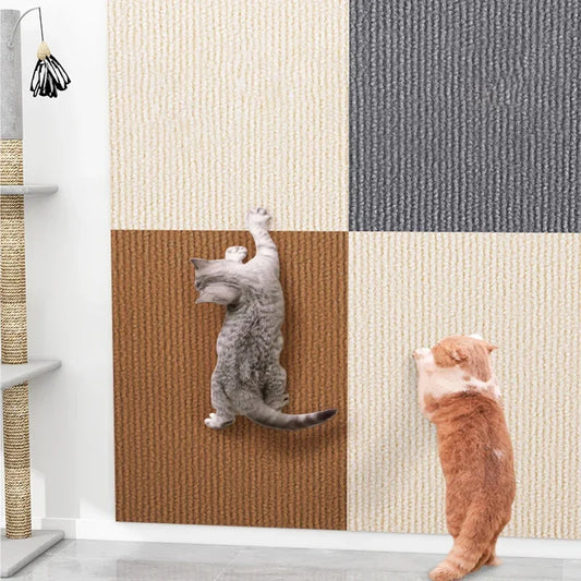 Protective Self-Adhesive Scraping Plates