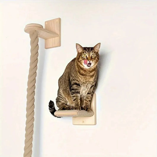 Modular Wall Climbing System