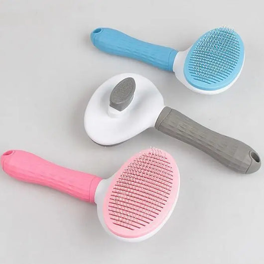 Self-Cleaning Brush