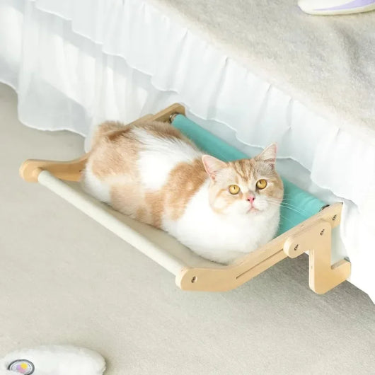 Multi-Fixture Hanging Hammock