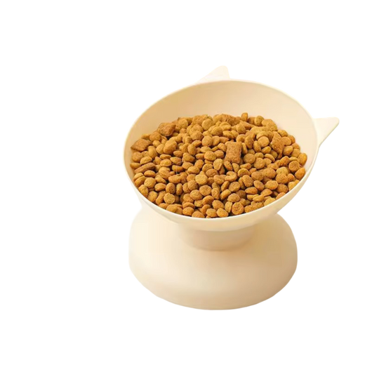 Tilted Bowl