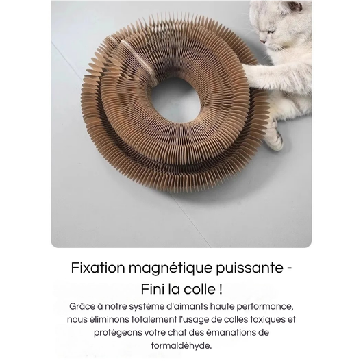 Multifunctional Spiral Scratching Post