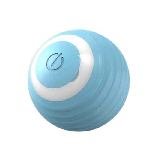 Rechargeable Smart Interactive Ball