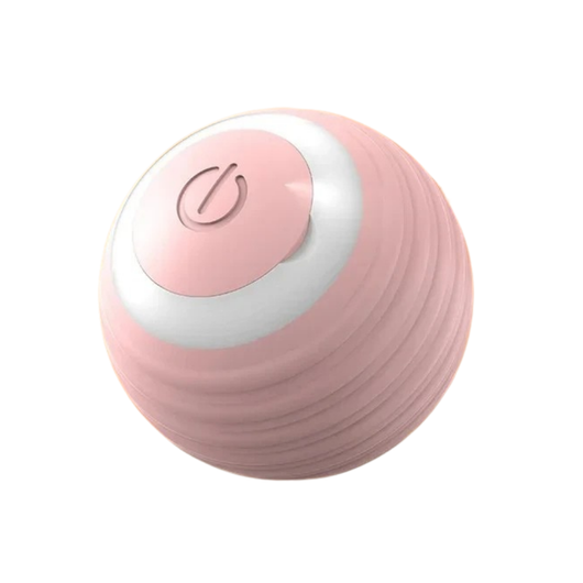 Rechargeable Smart Interactive Ball