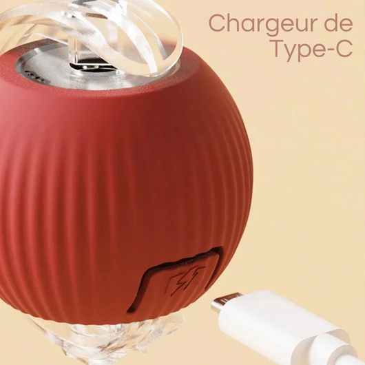 Rechargeable Smart Interactive Ball