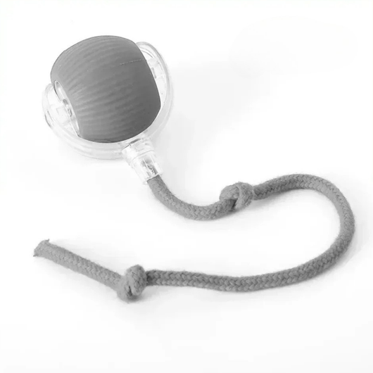 Rechargeable Smart Interactive Ball