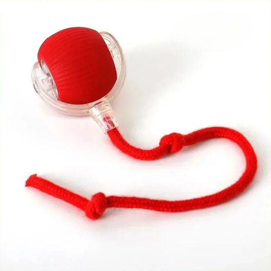 Rechargeable Smart Interactive Ball