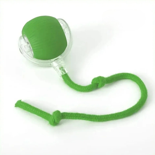 Rechargeable Smart Interactive Ball