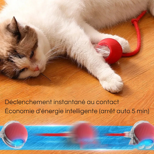 Rechargeable Smart Interactive Ball