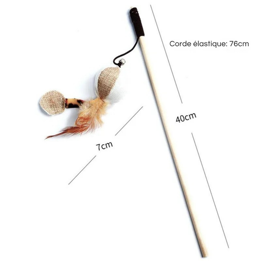 Multi-Shaped Fishing Rod