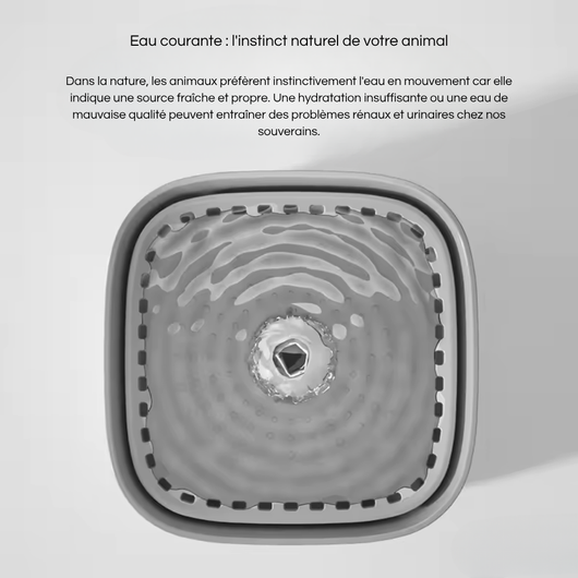 Automatic Fountain