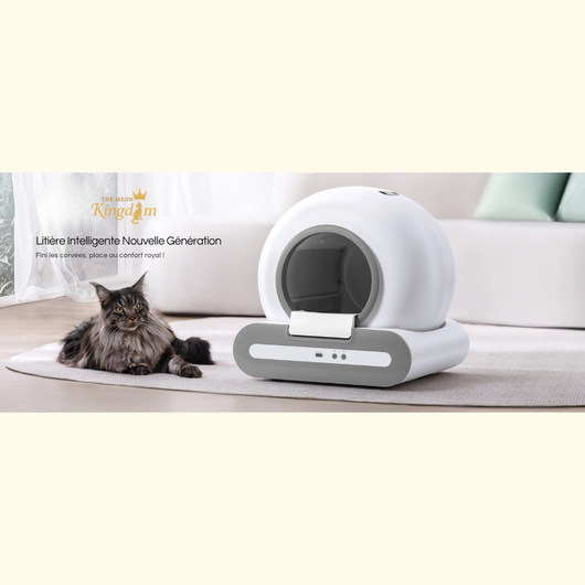 Premium Automatic Litter Box