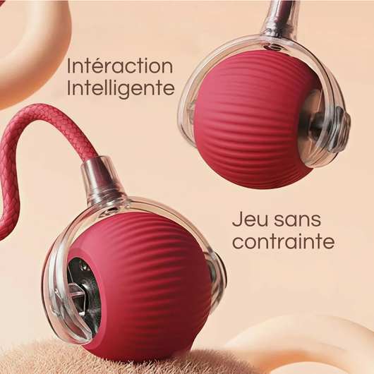 Rechargeable Smart Interactive Ball