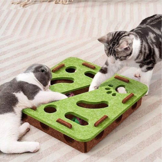 Multi-Hole Ball Game