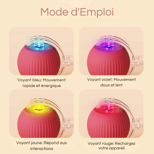 Rechargeable Smart Interactive Ball
