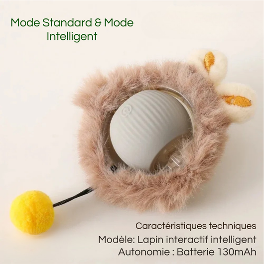 Rechargeable Smart Interactive Ball