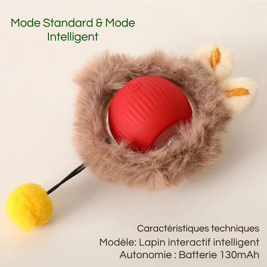 Rechargeable Smart Interactive Ball