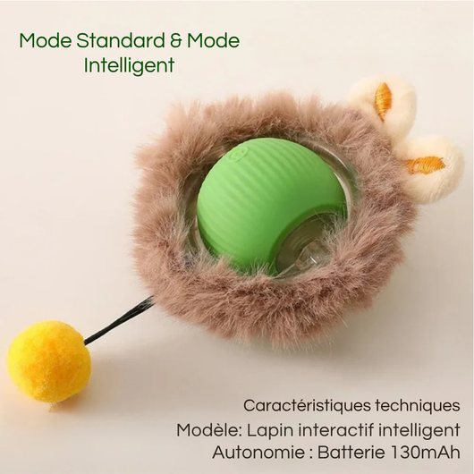 Rechargeable Smart Interactive Ball