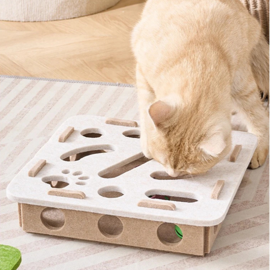 Multi-Hole Ball Game