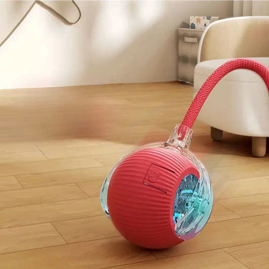 Rechargeable Smart Interactive Ball