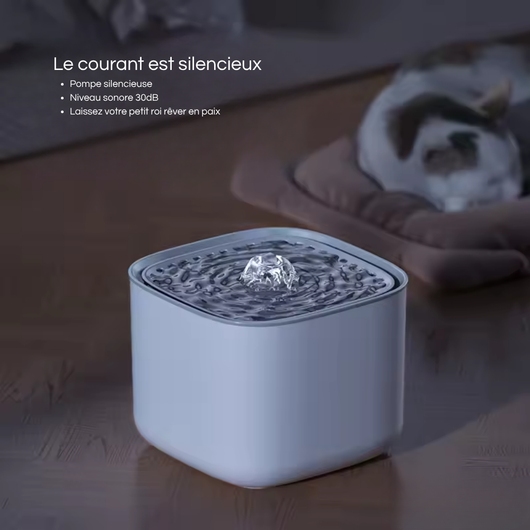 Automatic Fountain